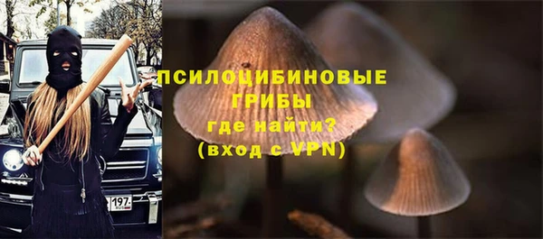 ALPHA PVP Армянск