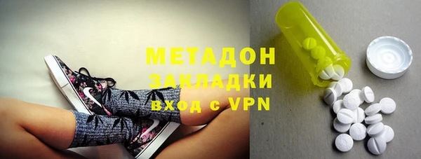 прущие грибы Арсеньев