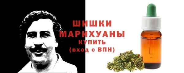 прущие грибы Арсеньев