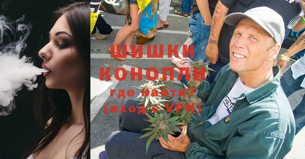 прущие грибы Арсеньев