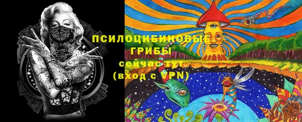 прущие грибы Арсеньев