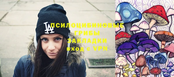 прущие грибы Арсеньев