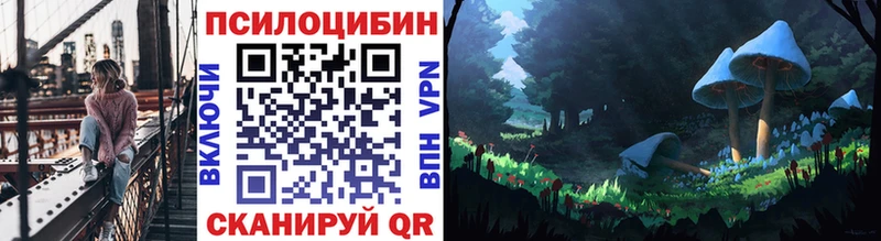 что такое наркотик Суджа Галлюциногенные грибы Psilocybe