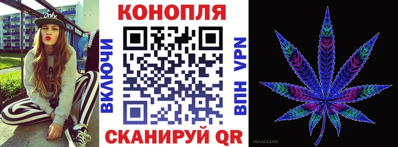 Марихуана индика Суджа